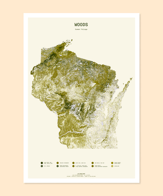 Woods: Summer Foliage
