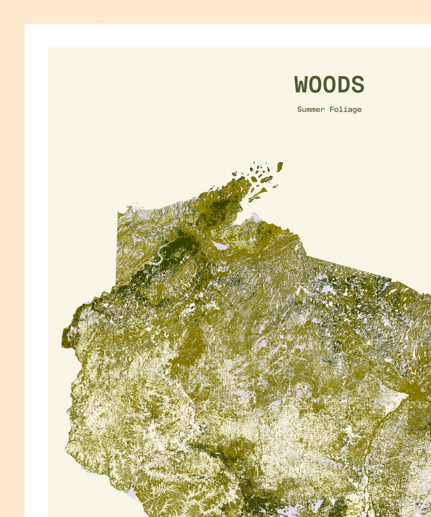 Woods: Summer Foliage