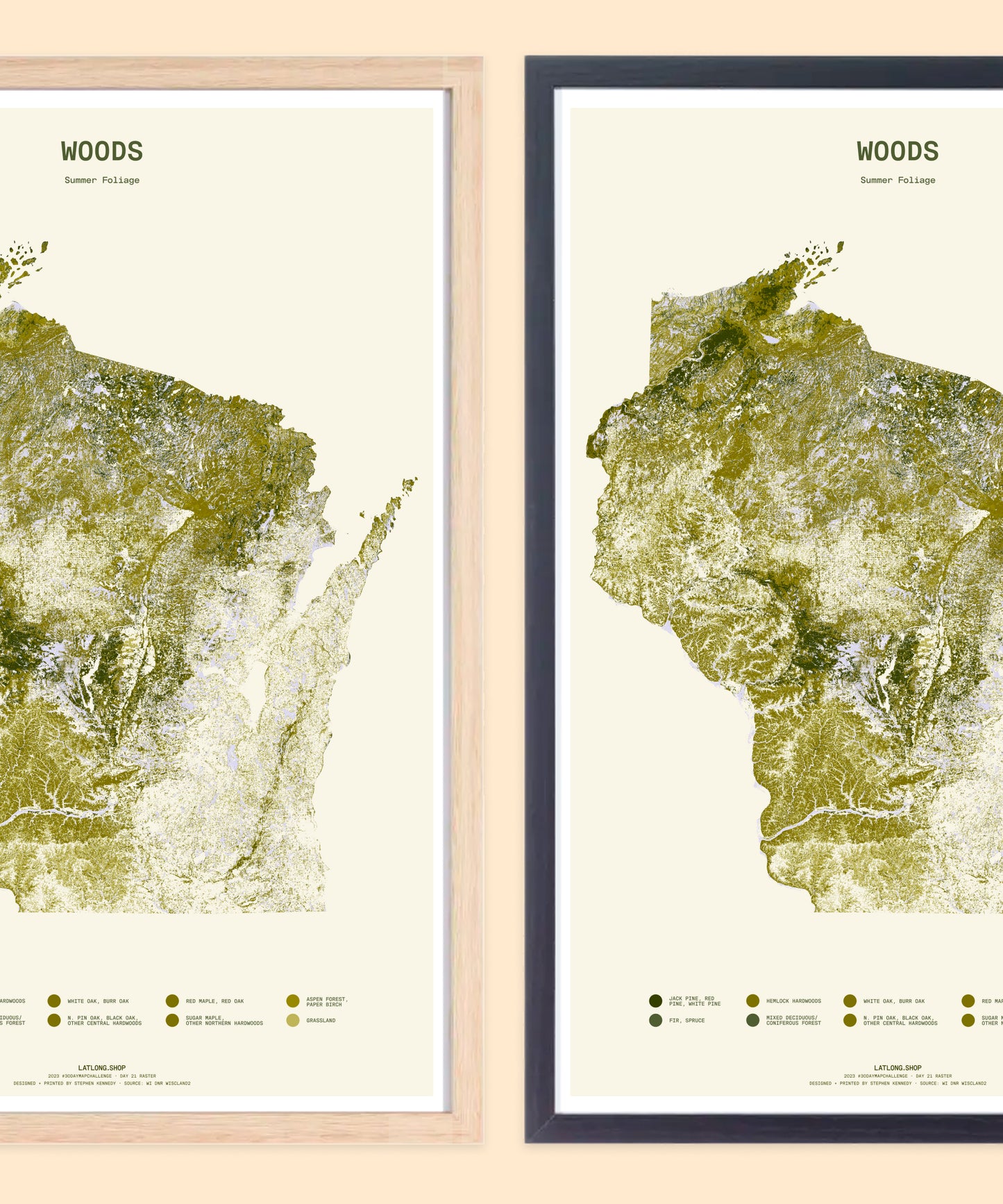 Woods: Summer Foliage