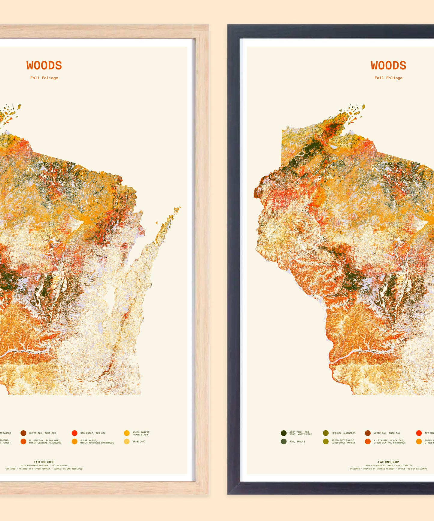 Woods: Fall Foliage