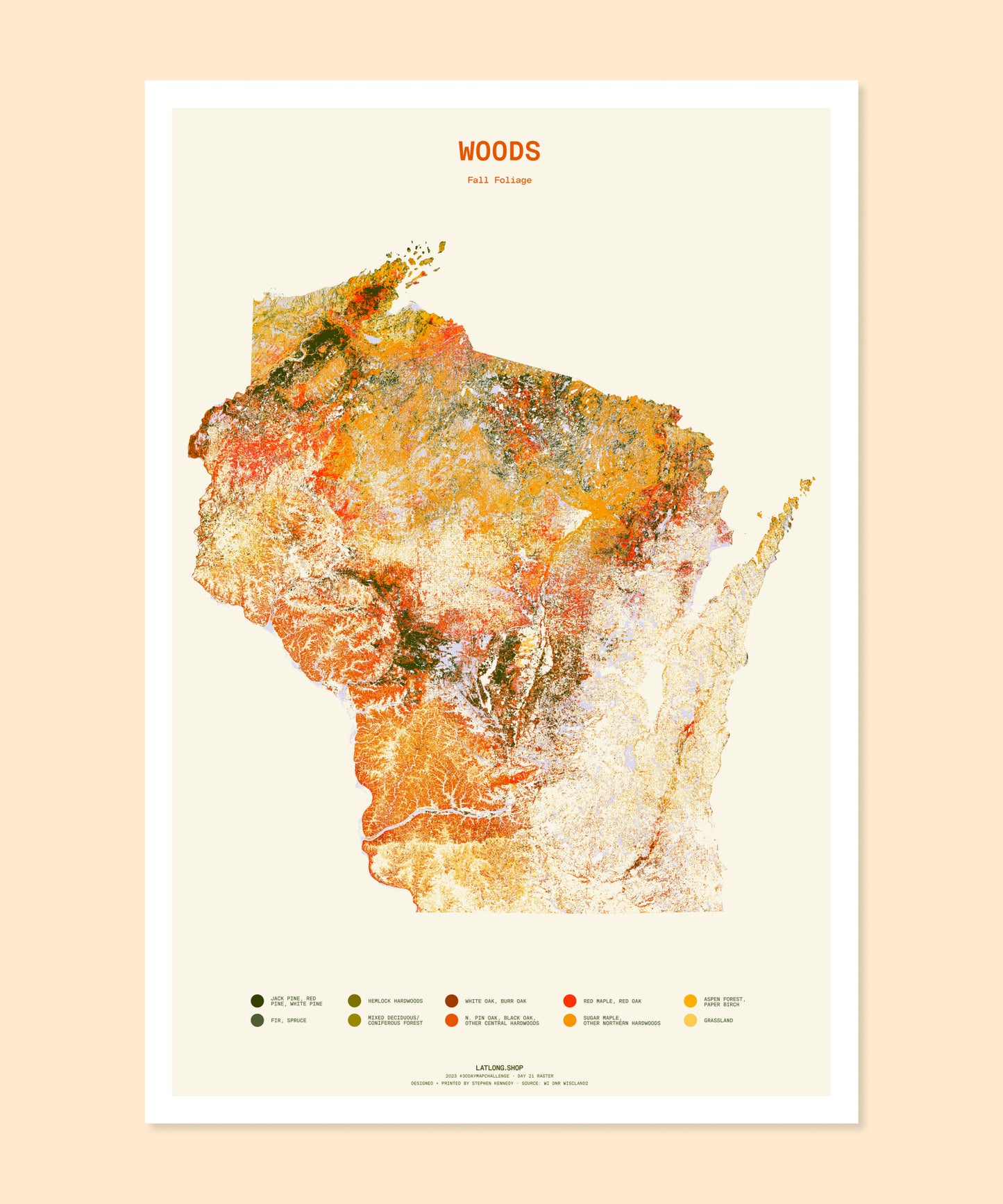 Woods: Fall Foliage