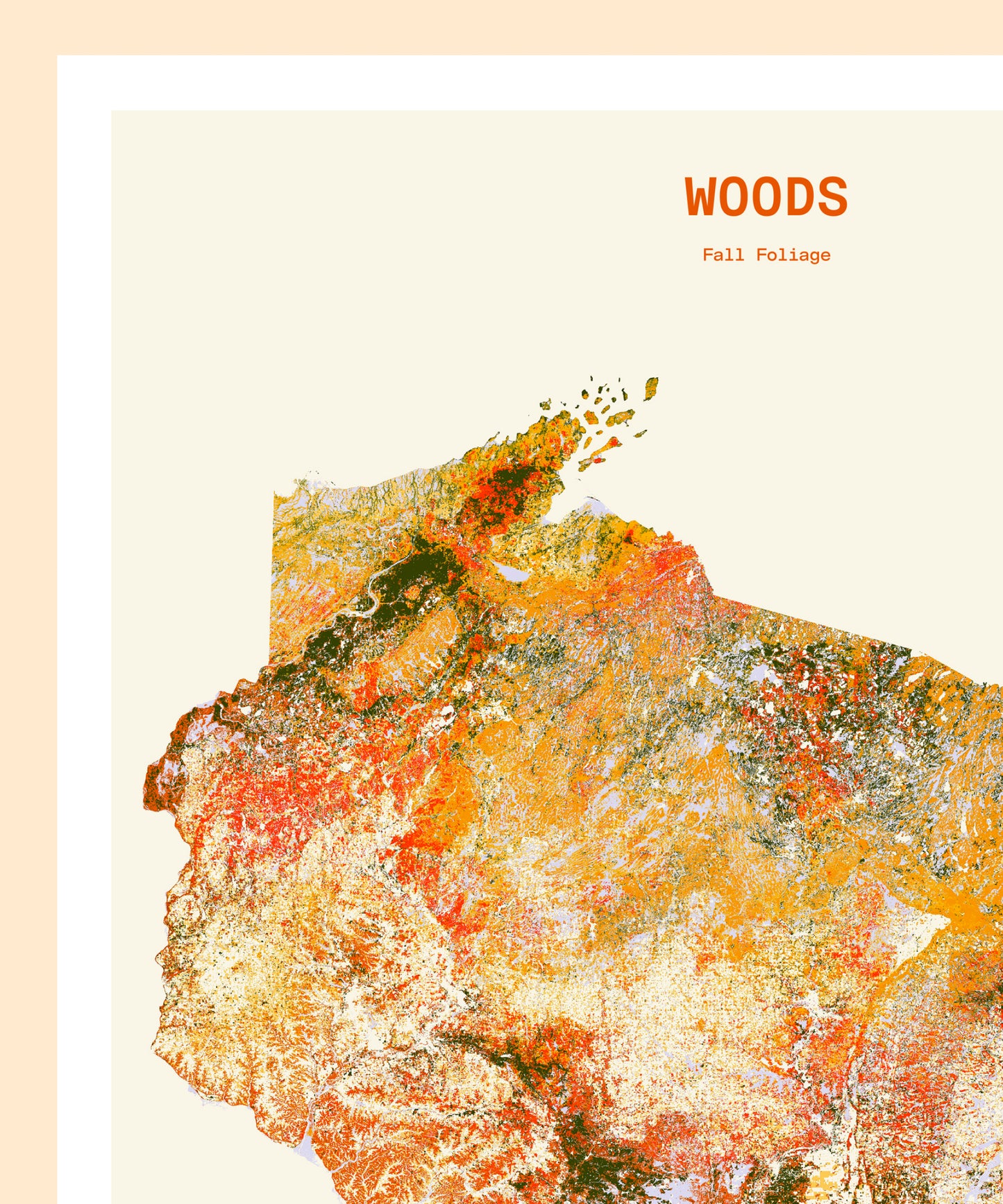 Woods: Fall Foliage
