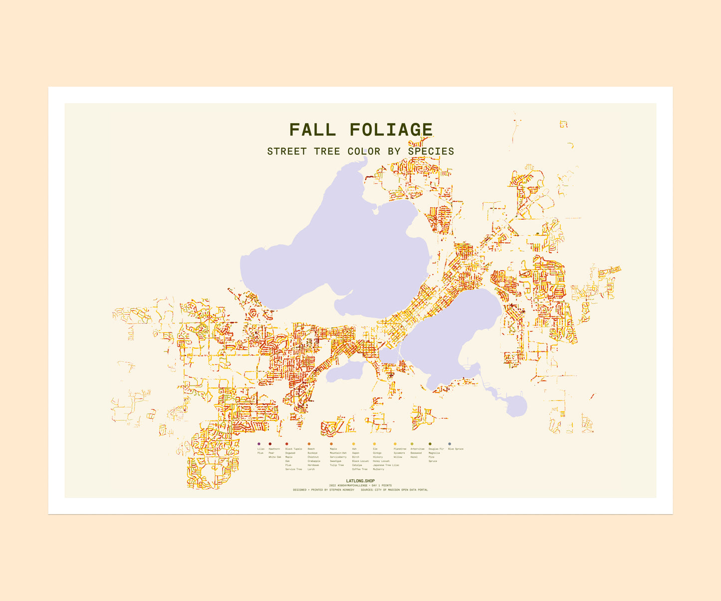Fall Foliage
