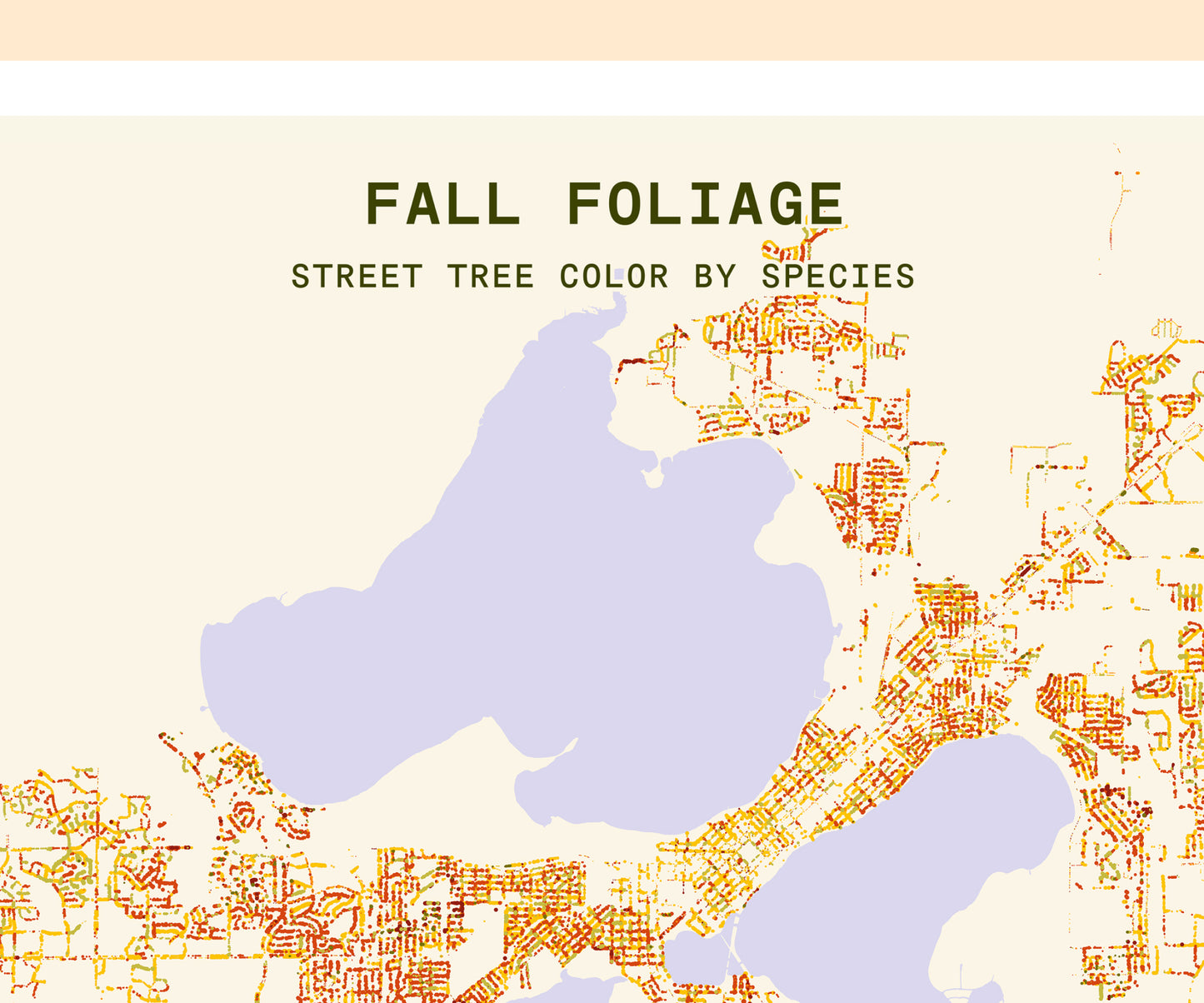 Fall Foliage