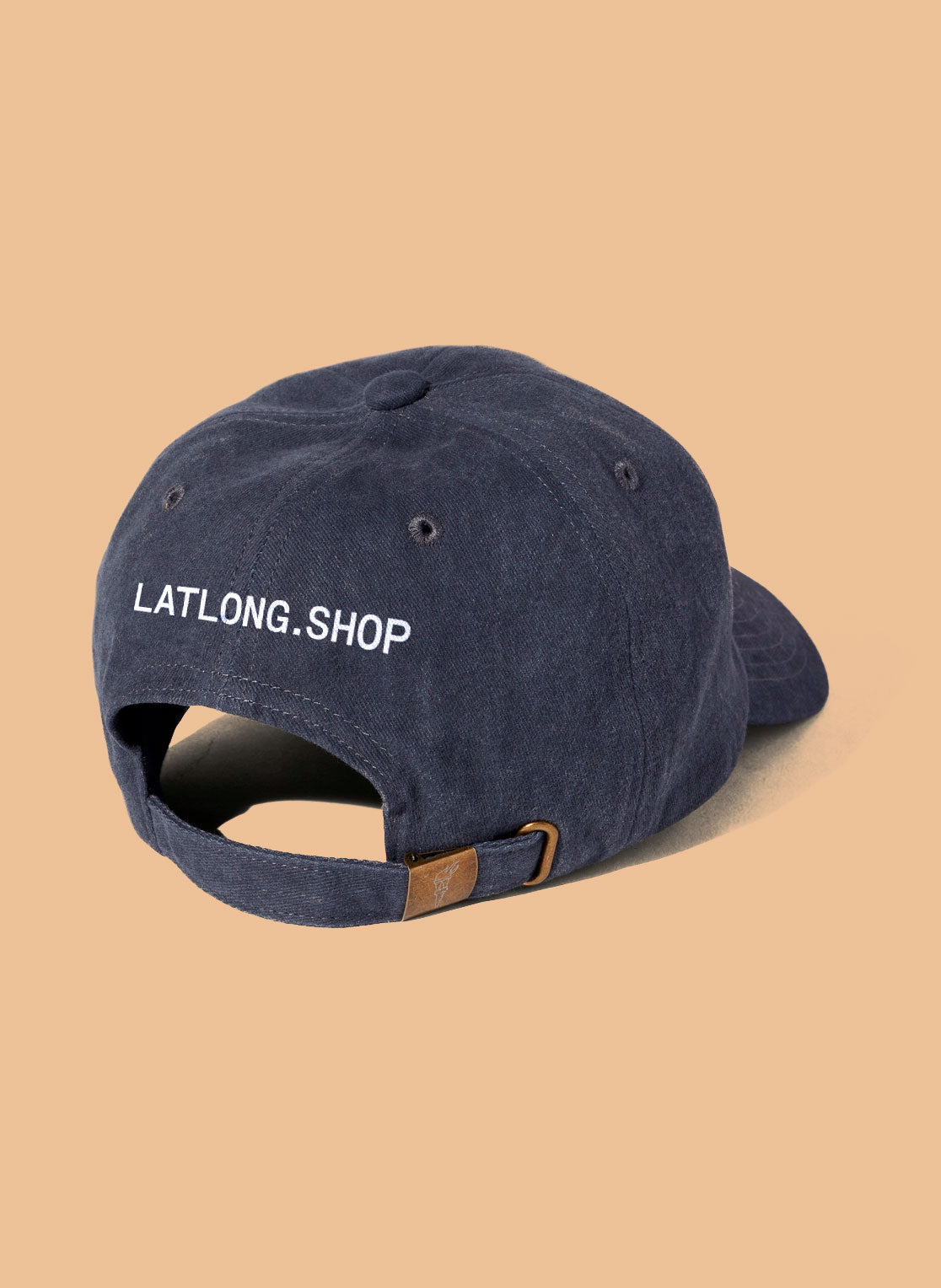 Lake Daddy / Washed Dad Hat