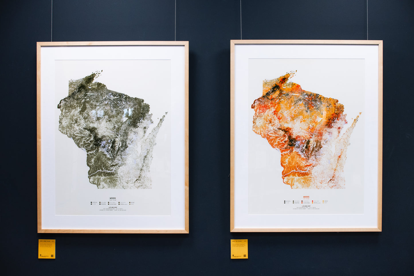 Woods: Summer Foliage / XL Print