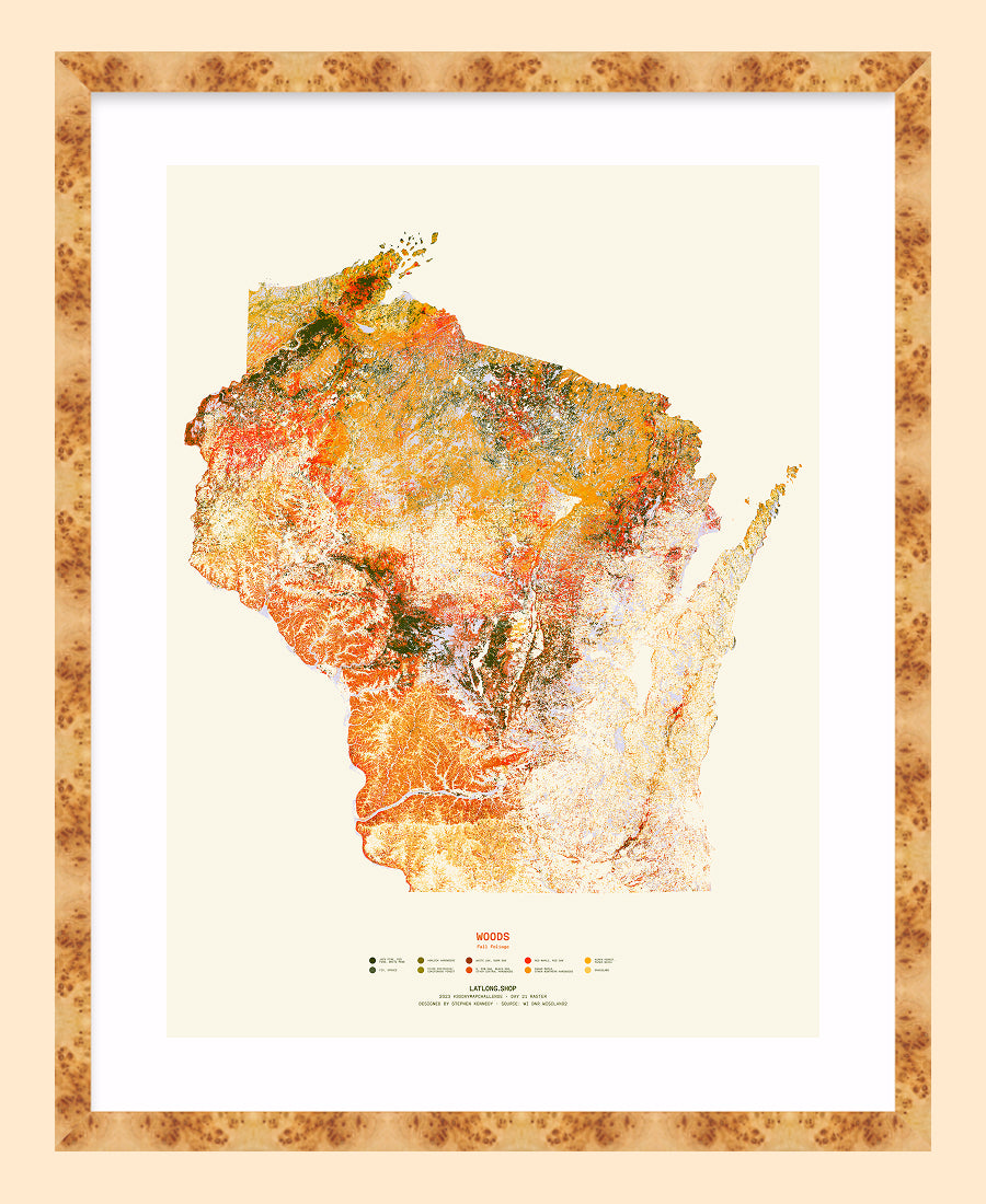 Woods: Fall Foliage / XL Print
