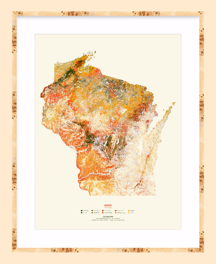 Woods: Fall Foliage / XL Print