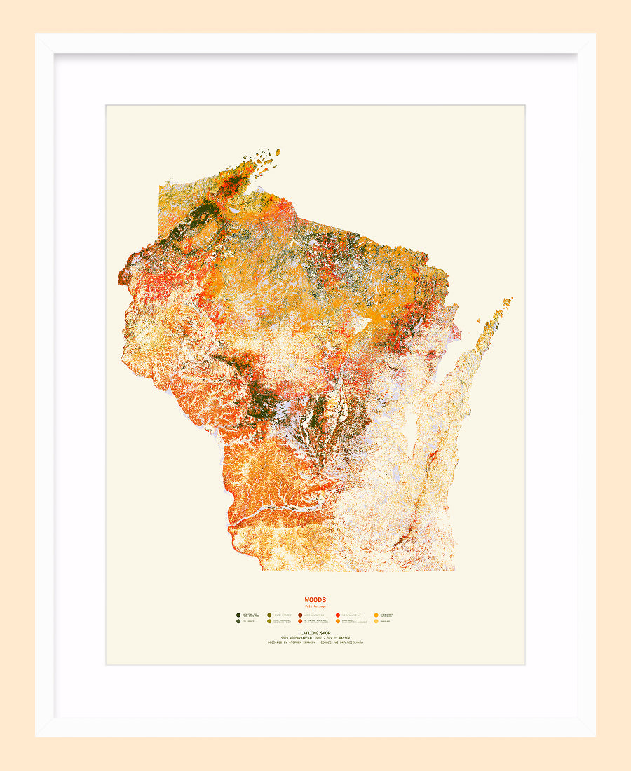Woods: Fall Foliage / XL Print