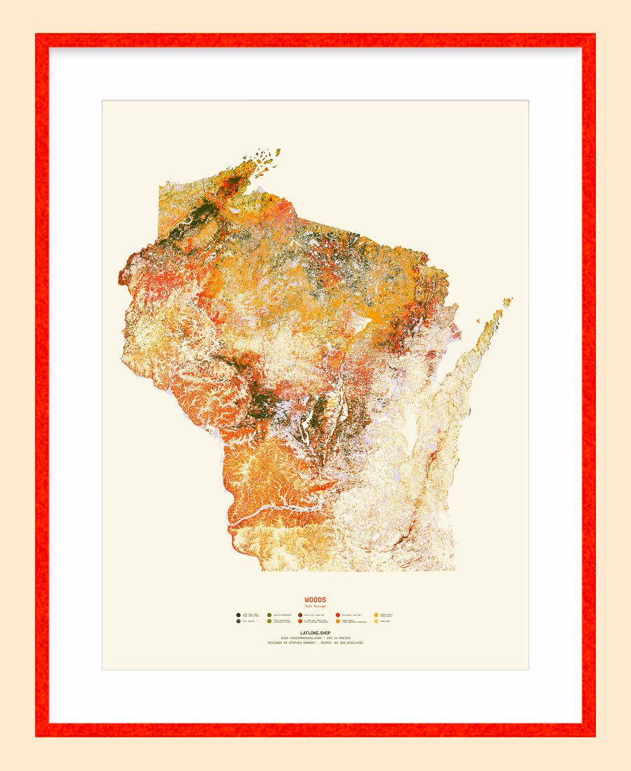 Woods: Fall Foliage / XL Print