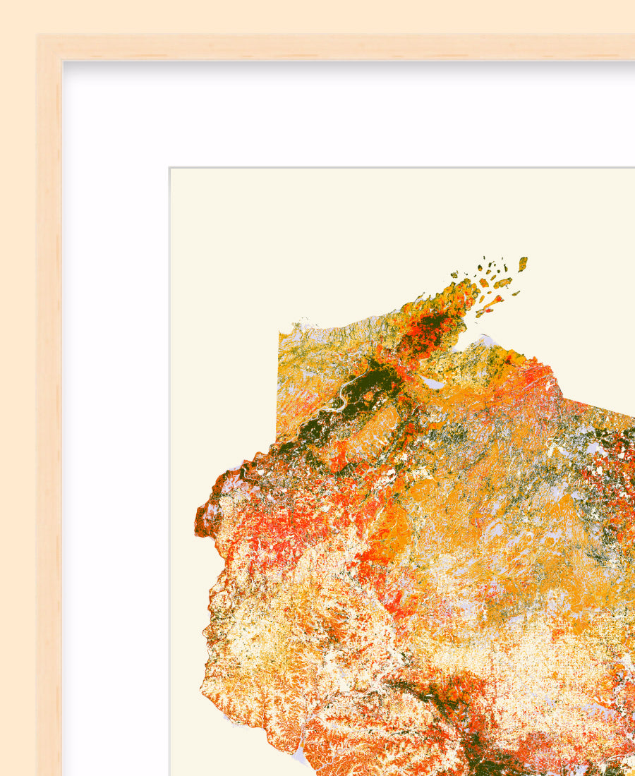 Woods: Fall Foliage / XL Print
