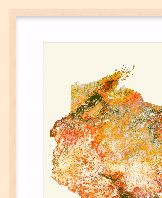 Woods: Fall Foliage / XL Print