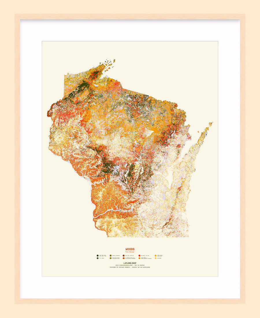 Woods: Fall Foliage / XL Print