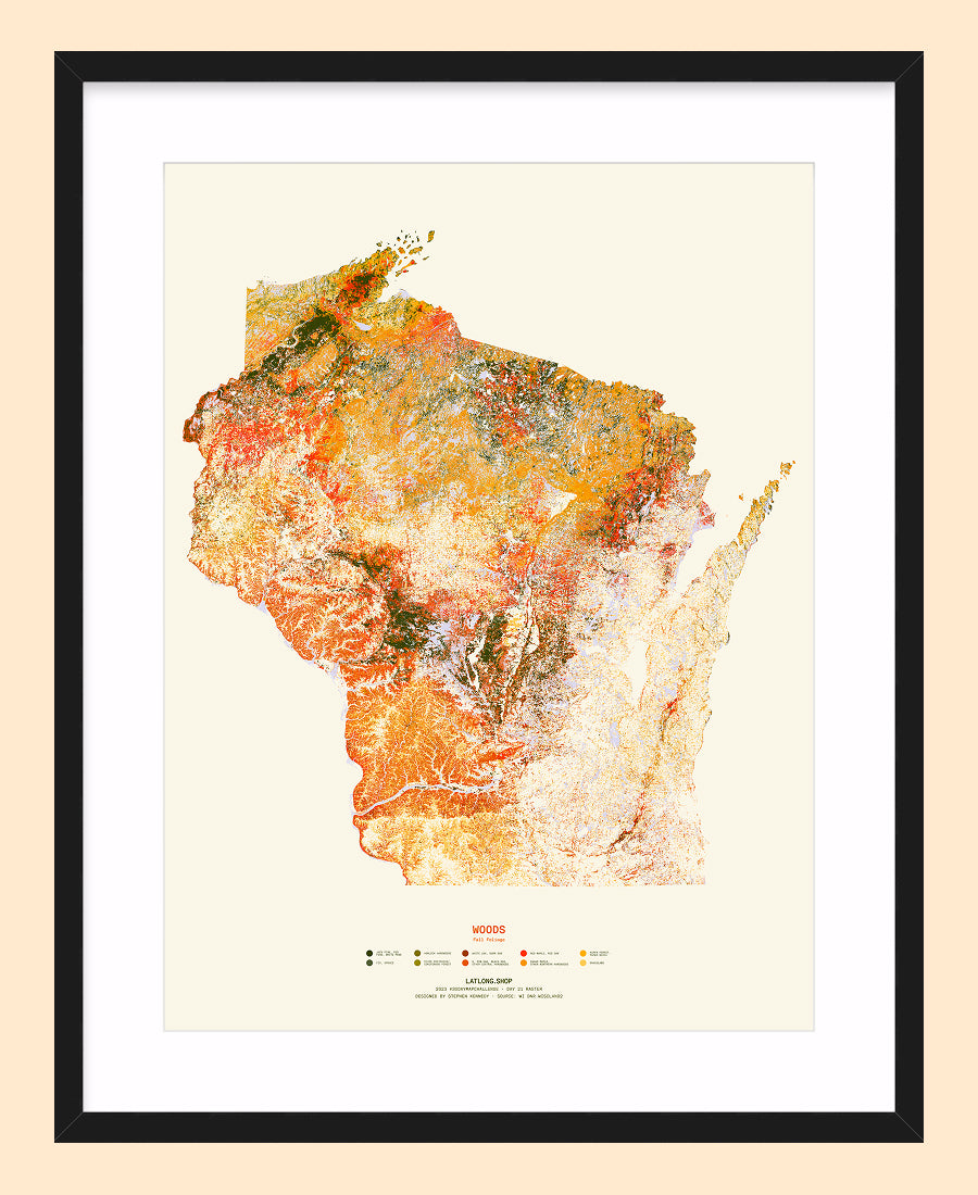 Woods: Fall Foliage / XL Print