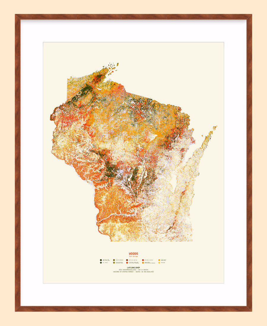 Woods: Fall Foliage / XL Print