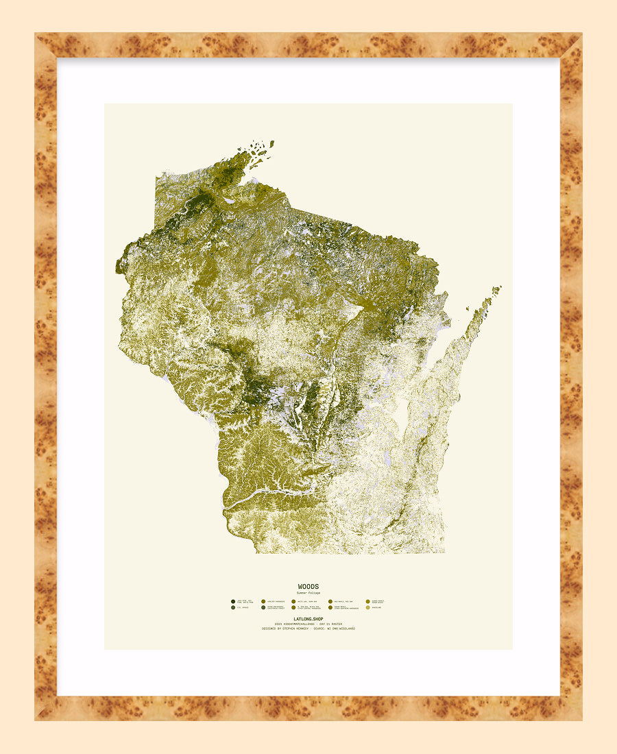 Woods: Summer Foliage / XL Print