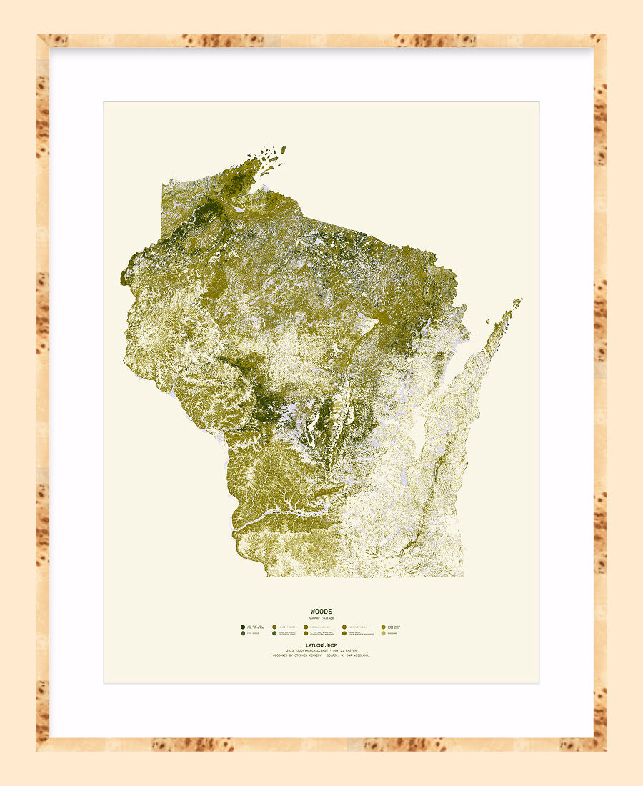 Woods: Summer Foliage / XL Print