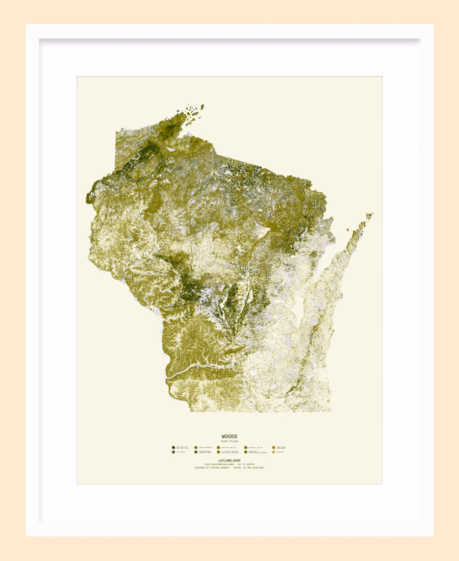Woods: Summer Foliage / XL Print