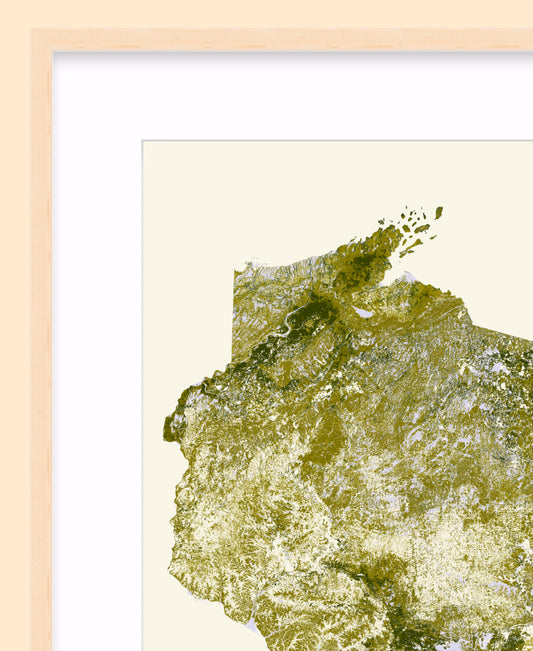 Woods: Summer Foliage / XL Print