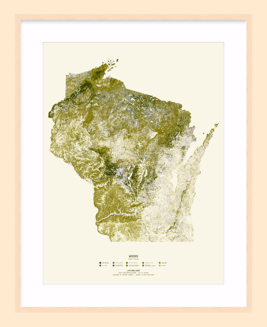 Woods: Summer Foliage / XL Print