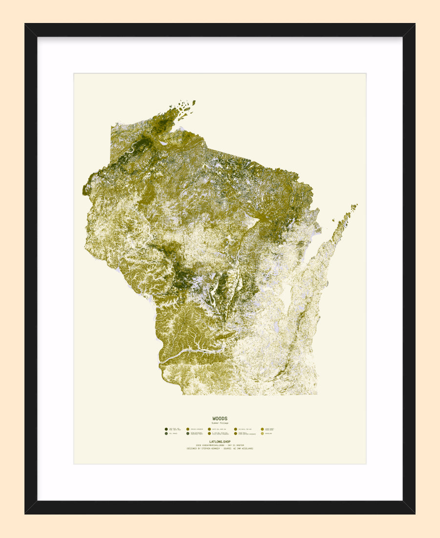 Woods: Summer Foliage / XL Print