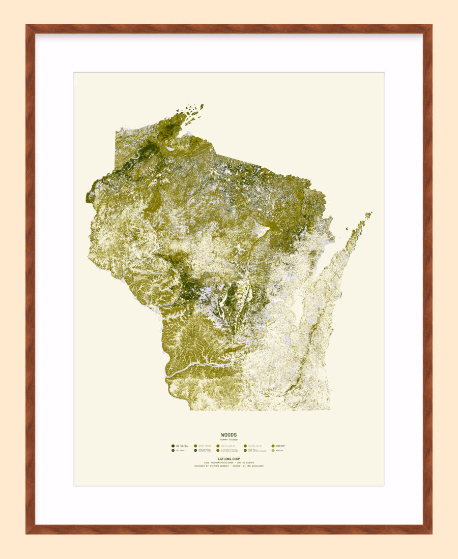 Woods: Summer Foliage / XL Print